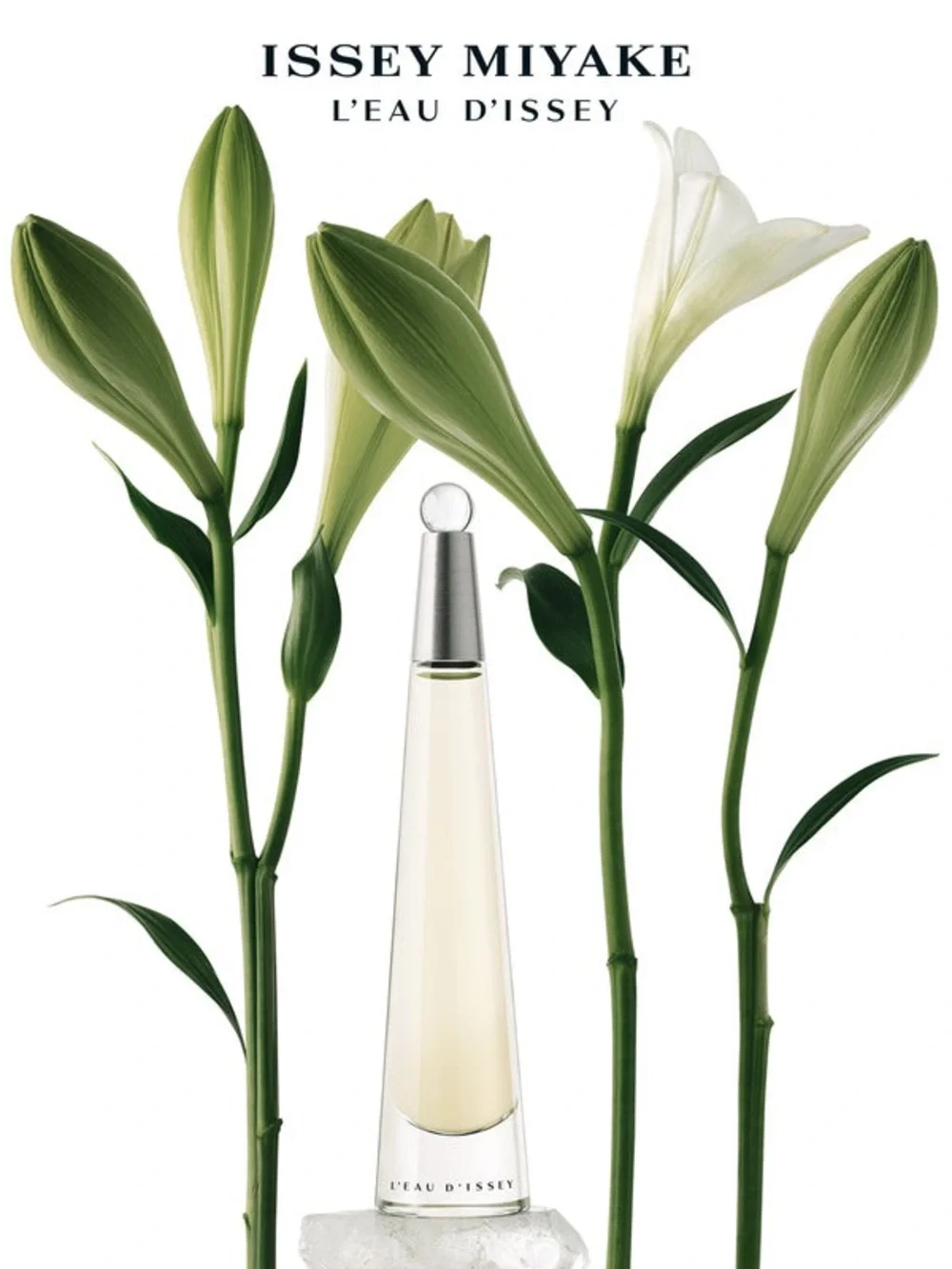 Issey Miyake L'Eau d'Issey EDT 25ml